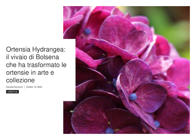 Leggi l'articolo di Daniela Devecchi